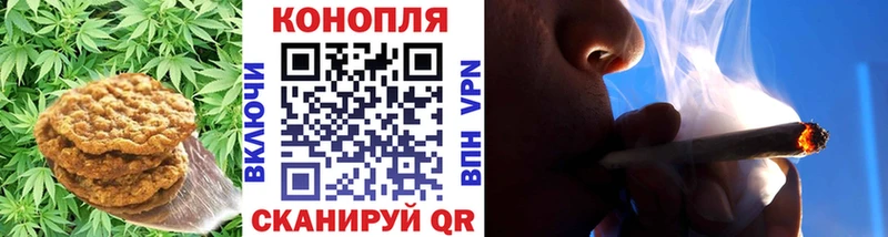 mega зеркало  Алатырь  Canna-Cookies конопля  купить закладку 