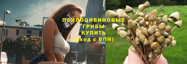 мет Шадринск