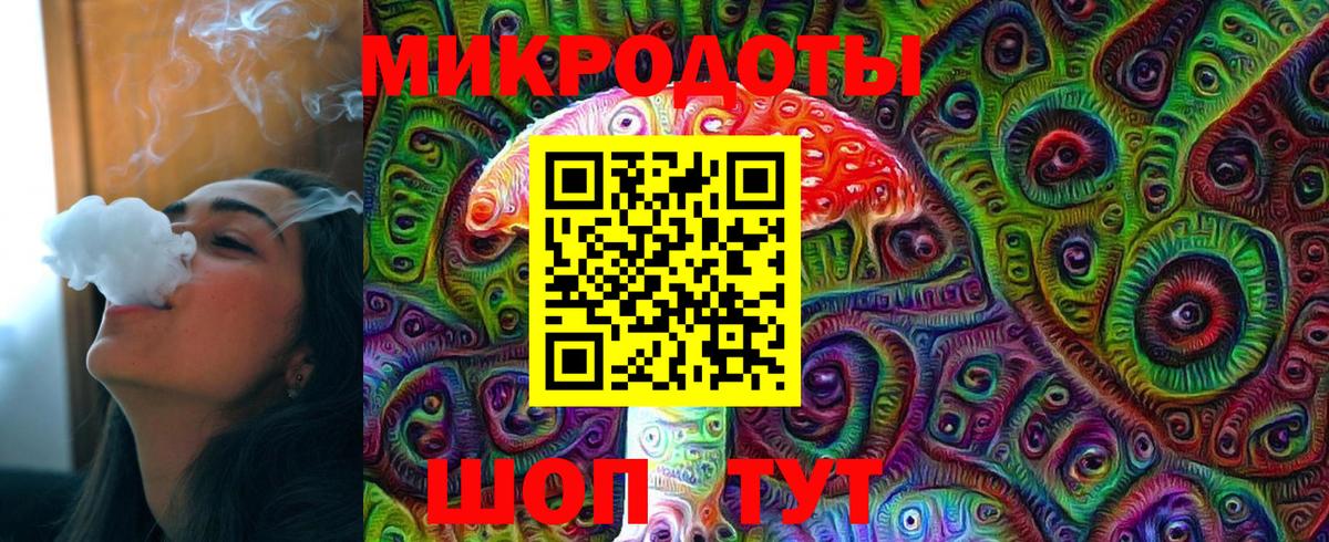 что такое   Вход с VPN  Алатырь  Псилоцибиновые грибы GOLDEN TEACHER  Псилоцибиновые грибы Psilocybine cubensis 