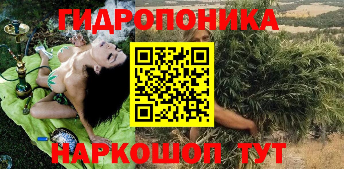 Каннабис сатива Алатырь